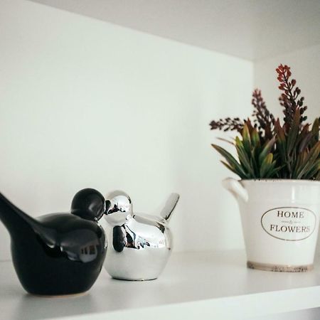 Briana Luxury Apartment Kaloşvar Dış mekan fotoğraf
